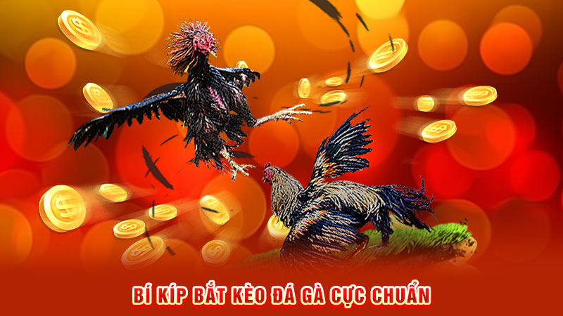 bí kíp bắt kèo đá gà cực chuẩn