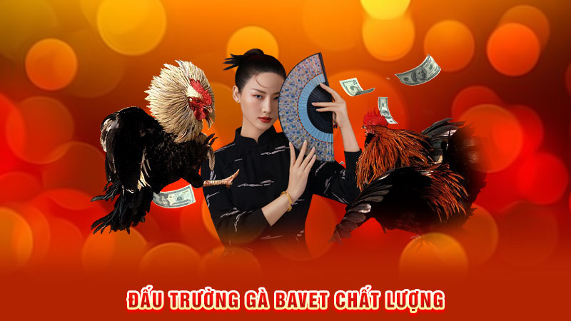 đấu trường gà bavet chất lượng