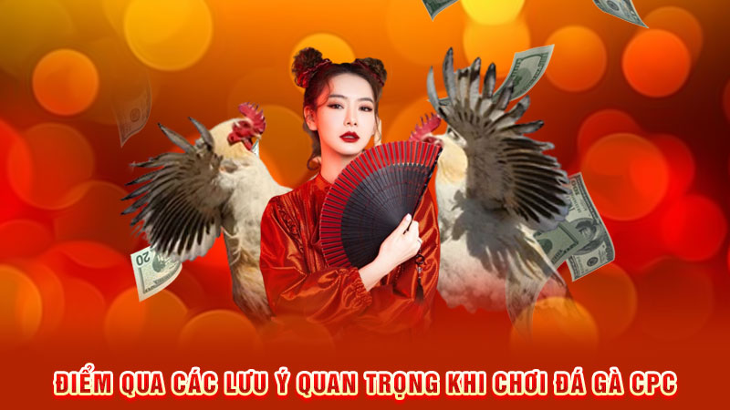 điểm qua các lưu ý quan trọng khi chơi đá gà cpc