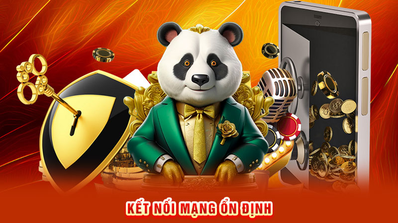 kết nối mạng ổn định