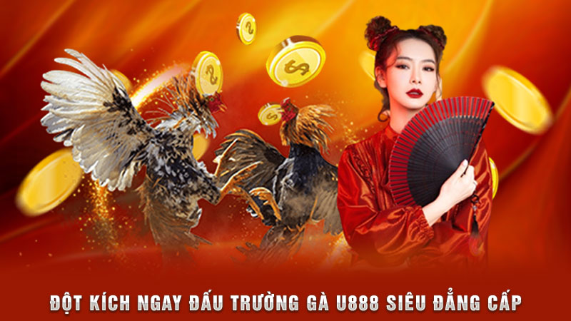 đột kích ngay đấu trường gà u888 siêu đẳng cấp
