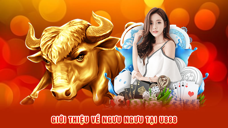 giới thiệu về ngưu ngưu tại u888