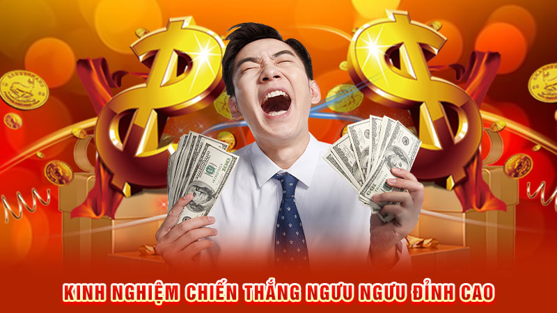 kinh nghiệm chiến thắng ngưu ngưu đỉnh cao