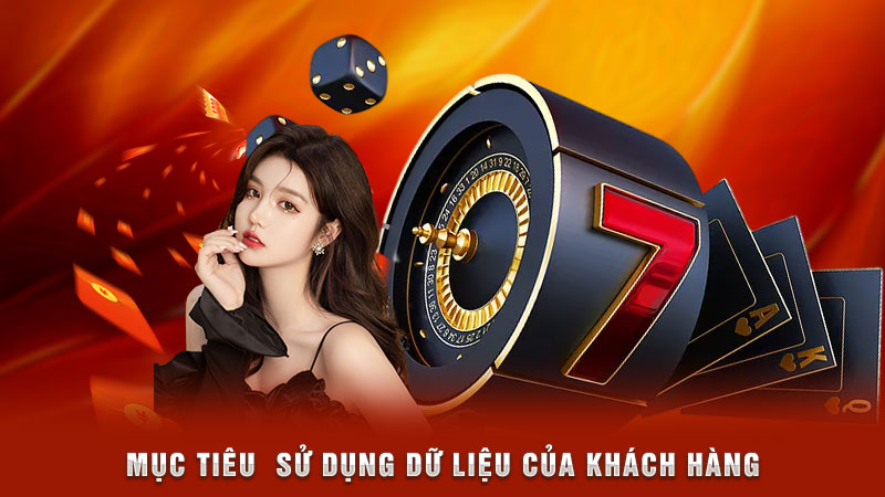 mục tiêu sử dụng dữ liệu của khách hàng