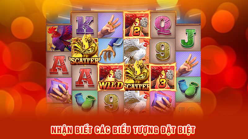 nhận biết các biểu tượng đặt biệt