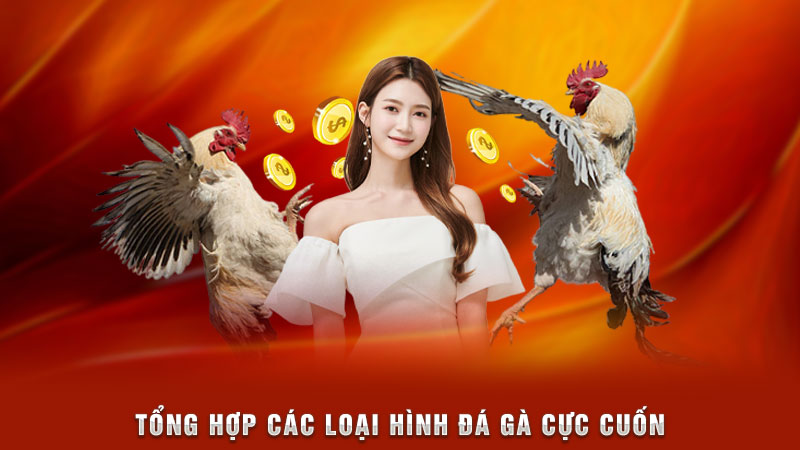 tổng hợp các loại hình đá gà cực cuốn